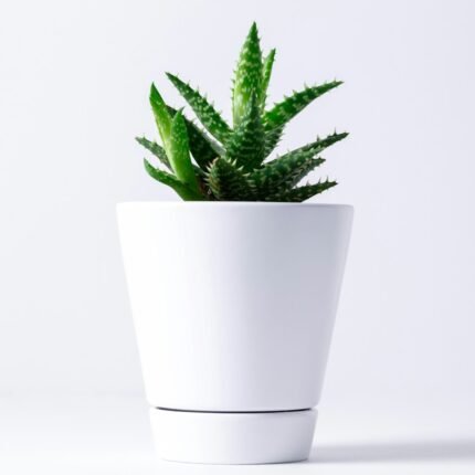 White fiber FRP planter for indoor and outdoor plants
