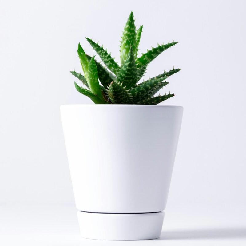 White fiber FRP planter for indoor and outdoor plants
