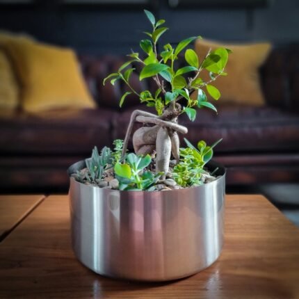 Modern metal planter with greenery